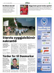 Síða 19