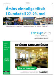Síða 29