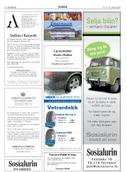 Síða 30