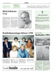 Síða 13