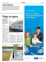 Síða 21