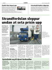 Síða 4