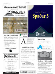 Síða 15