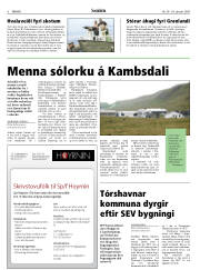 Síða 6