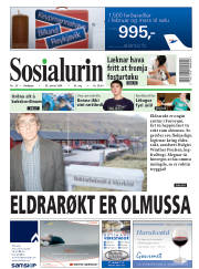 Síða 1