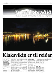 Síða 17