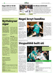 Síða 28