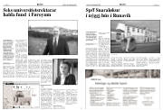 Síða 6
