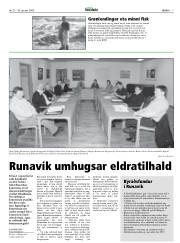 Síða 7