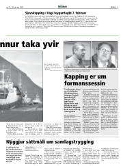 Síða 11