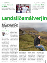 Síða 4