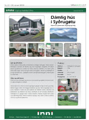 Síða 17