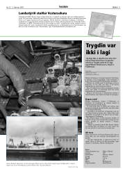 Síða 11