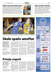 Síða 17