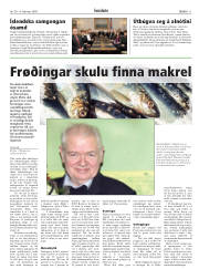 Síða 11