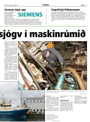 Síða 17