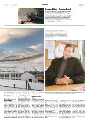 Síða 17