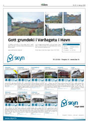 Síða 6
