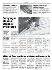 Síða 9