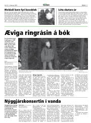 Síða 11