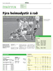 Síða 17