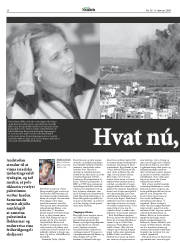 Síða 20