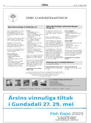 Síða 30