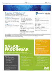 Síða 45