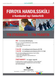 Síða 3
