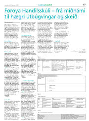 Síða 17