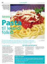 Síða 20