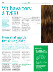 Síða 22