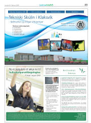 Síða 25