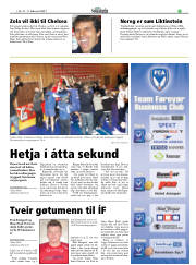 Síða 17