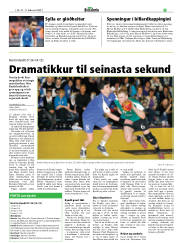 Síða 19