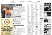 Síða 20