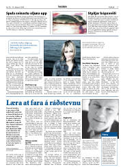 Síða 17