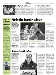 Síða 25