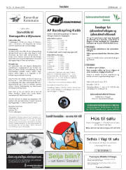 Síða 29