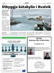 Síða 6