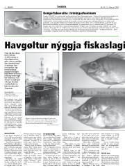 Síða 12
