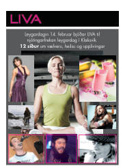 Síða 17
