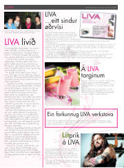 Síða 22