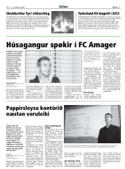 Síða 11