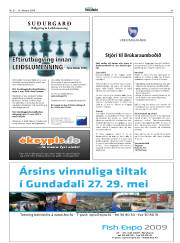 Síða 43