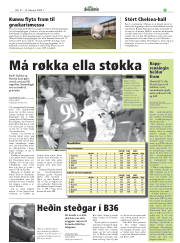 Síða 33