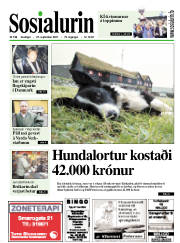 Síða 1