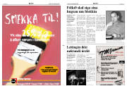Síða 2