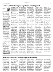 Síða 13