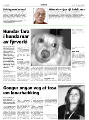 Síða 28